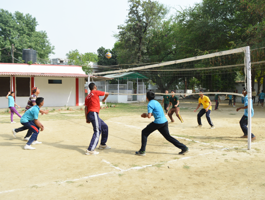 Volleyball